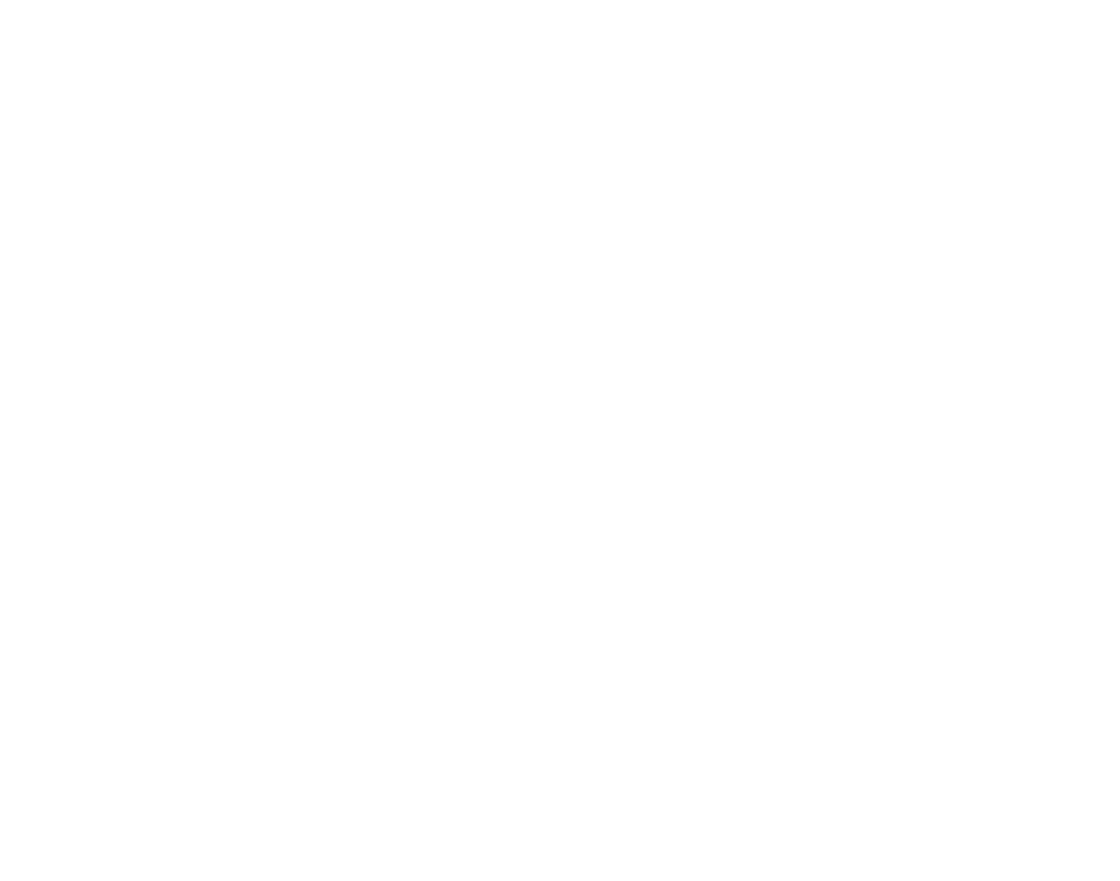 Protein ball co